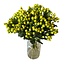 Fresh lime-green Hypericum “Smiley Romance” | Fresh Flowers | Length ± 50 centimeter | 25 stems per bunch | Per bunch