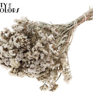 QC Gedroogde Statice | Kleur: Naturel Wit | Statice Droogbloemen | Lengte ± 45 centimeter | Per bos