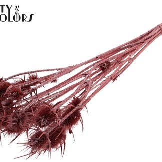 QC Gedroogde Distels | Kleur: Metallic Rood | Cardistella Droogbloemen | Lengte ± 55 centimeter | 10 takken per bos | Per bos