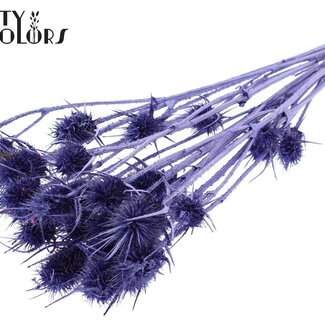 QC Gedroogde Distels | Kleur: Metallic Paars | Cardistella Droogbloemen | Lengte ± 55 centimeter | 10 takken per bos | Per bos