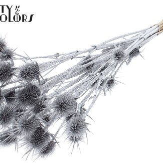 QC Gedroogde Distels met Glitter | Kleur: Zilver | Zilverkleurige Cardistella Droogbloemen | Lengte ± 55 centimeter | 10 takken per bos | Per bos
