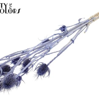 QC Gedroogde Distels | Kleur: Pearl Milkapaars | Cardistella Droogbloemen | Lengte ± 55 centimeter | 10 takken per bos | Per bos