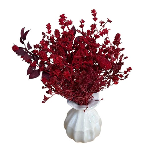 Boeket Rode Droogbloemen "Mini" | Kleur: Rood | inclusief vaas | Lengte ± 15 centimeter | Per boeket