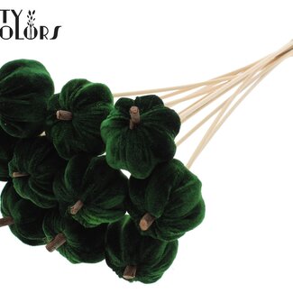QC Fluwelen Pompoen op Steel | Kleur: Groen | Lengte ± 50 centimeter | Diameter 6 centimeter | Per 10 stelen