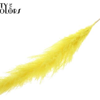 QC Gebleekte Gedroogde Pampas Pluimen | Kleur: Geel | Lengte ± 140 centimeter | Per pluim