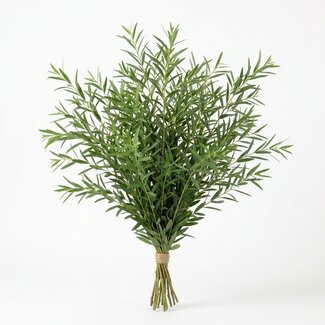 Freshy Verse Eucalyptus Parvifolia uit Italië | Kleur: Natuurlijk Groen | Verse Bloemen | Lengte ± 70 centimeter | Gewicht ± 300 gram | Per bos