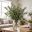 Verse Olijftakken uit Italië | Kleur: Natuurlijk Groen | Verse Bloemen | Lengte ± 70 centimeter | Gewicht ± 350 gram | Per bos
