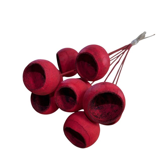 Gedroogde Bell Cup op Stok | Kleur: Rood | Lengte ± 60 centimeter | Kerst Decoratie | Per 10 bijstekers