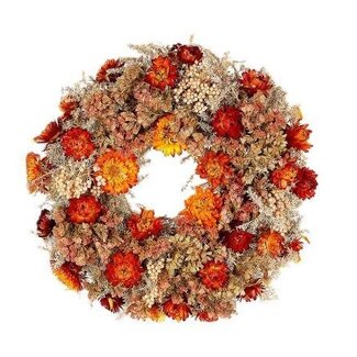 HBXD Kranz „Orange County“ | Farbe: Orange | Weihnachtsdekoration | Durchmesser 30 Zentimeter | Pro Kranz