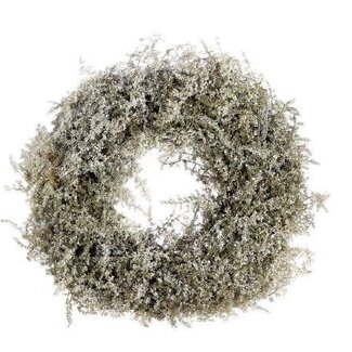 HBXD Krans “Asparagus Snow” | Kleur: Naturel Wit | Kerstdecoratie | Diameter 40 centimeter | Per krans