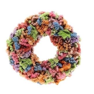 HBXD Wreath “Statice Pastel” | Colour: Mixed Colours | Christmas decoration | Height 7 centimetres | Diameter 30 centimetres | Per wreath