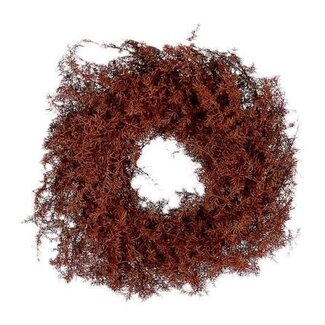 HBXD Krans “Asparagus” | Kleur: Bruin | Kerstdecoratie | Diameter 30 centimeter | Per krans