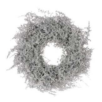 HBXD Krans “Asparagus Glitter” | Kleur: Zilver | Kerstdecoratie | Diameter 30 centimeter | Per krans