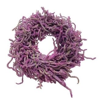 HBXD Krans “Snake Limonium” | Kleur: Lila Paars | Kerstdecoratie | Hoogte 8 centimeter | Diameter 40 centimeter | Per krans