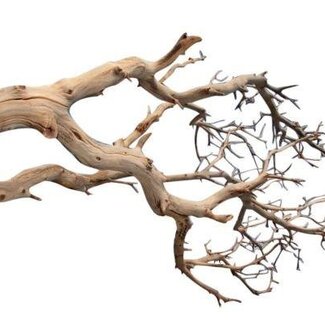 HBXD Decorative Branch “Manzanita” | Colour: Brown | Dried Decoration | Length  120 centimetres | Per branch