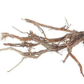 HBXD Decorative Branch “Ghostwood” | Colour: Brown | Dried Decoration | Length  150 centimetres | Per branch