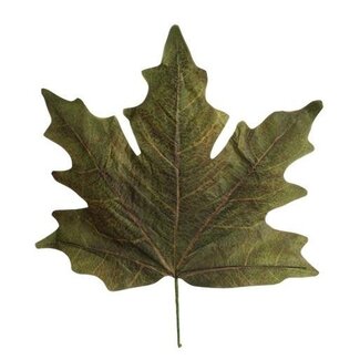HBXD Dekorative Blätter „Maple Leaf Calvi“ | Farbe: Orange | Herbstdekoration | Länge 73 Zentimeter | Breite 78 Zentimeter | Je 4 Blätter