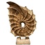 Teak Shell on Stand “Kerang” | Colour: Brown | Length 50 centimetres | Width 15 centimetres | Height 84 centimetres | Per shell