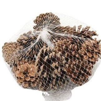 HBXD Pine cone “Austrian” | Colour: Brown | Christmas decoration | Weight 1 kilo | Per 10 nets