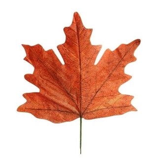 HBXD Dekorative Blätter „Maple Leaf Calvi“ | Farbe: Orange | Herbstdekoration | Länge 56 Zentimeter | Breite 59 Zentimeter | Pro 4 Blätter