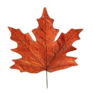 HBXD Decorative Leaves “Maple Leaf Calvi” | Colour: Brown | Autumn Decoration | Length 73 centimetres | Width 78 centimetres | Per 4 leaves