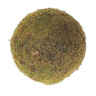 HBXD Flat Moss Ball | Colour: Brown Green | Diameter 20 centimetres | Per moss ball