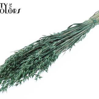 QC Dried Oats | Colour: Pearl Green | Avena Dried Flowers | Length ± 60 centimetres | Weight 250 grams | Per bunch