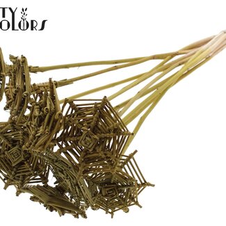 QC Rattan Lata Spiderweb on stick | Colour: Olive Green | Lata Spiderweb flat Plant Stake | Length ± 50 centimetres | 10 stakes per bunch