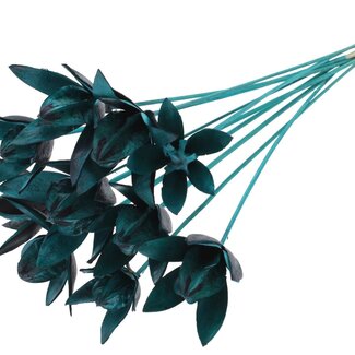 QC Wild Lily seed pod on stem | Colour: Turquoise | Length stem pick ± 50 centimeter | Per 10 stem picks