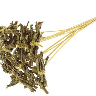 QC Decorative Coco Rose posy on stick | Colour: Metallic Yellow | Coco Rose Posy Pick | Length of pick ± 50 centimetre | 10 picks per bunch