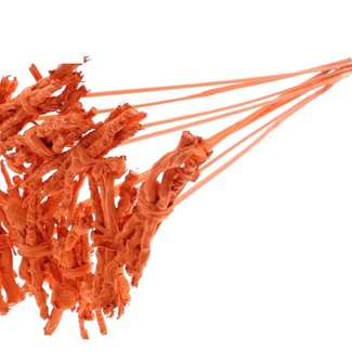 QC Decorative Coco Rose Posy on stick | Colour: Orange | Coco Rose Posy Stake | Length stake ± 50 centimeter | 10 stakes per bunch