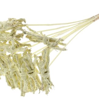 QC Decorative Coco Rose posy on stick | Colour: Cream-coloured | Coco Rose Posy Pick | Pick length ± 50 centimetre | 10 picks per bunch