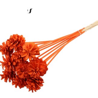 QC Pine cone on stick | Colour: Orange | Diameter 5 - 7 centimetre | Length ± 50 centimetre | 10 picks per bunch