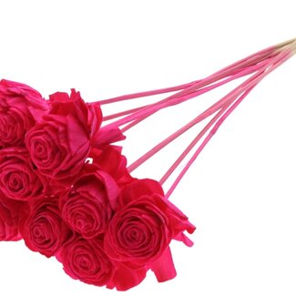 QC Shola Dahlia on stem | Colour: Cherry-coloured | Shola Dhalya | Diameter 6 centimetre | Length ± 50 centimetre | 10 picks per bunch | Per bunch