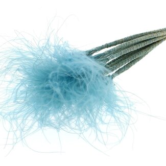 QC Dried Stipa Feather Grass | Colour: Light blue | Stypha Penata Dried flowers | Length ± 60 centimeter | 10 plumes per bunch | Per bunch