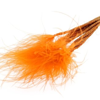 QC Dried Stipa Feather Grass | Colour: Orange | Stypha Penata Dried Flowers | Length ± 60 centimetre | 10 plumes per bunch | Per bunch