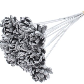QC Shola rose on stem | Colour: Silver-coloured | Shola New Beauty Rose | Diameter 6 centimetre | Length ± 50 centimetre | 10 extra picks per bunch | Per bunch