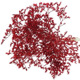 QC Dried Sea Lavender | Colour: Red | Limonium Tataricum Dried Flowers | Length ± 30 cm | Weight 45 gram | Per bunch