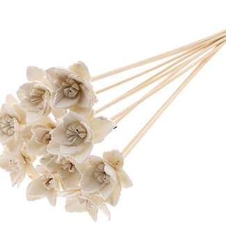 QC Shola Queen Flower on stem | Colour: Natural White | Shola Queen Flower | Length ± 50 centimeter | 10 extra picks per bunch