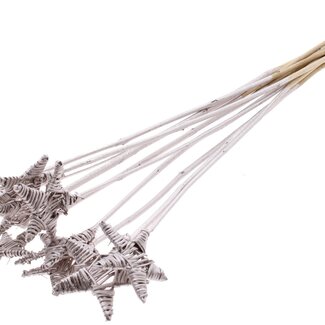 QC Rattan Lata Star on stick | Colour: Platinum-coloured | Flat pick | Length ± 50 centimetre | 10 picks per bunch