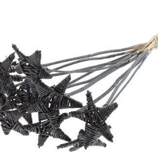 QC Rattan Lata Stern am Stab | Farbe: Metallic Graphit | Flacher Beistecker | Länge ± 50 Zentimeter | 10 Beistecker pro Bund