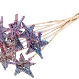 QC Rattan Lata Star on stick | Colour: Gradient Pink | Flat pick | Length ± 50 centimetre | 10 picks per bunch