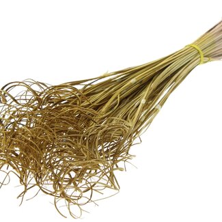 QC Dried Palm Leaf Vein | Curly Ting Ting | Colour: Yellow | Length ± 70 centimetres | 3 sprigs per bunch | 33 bunches per bouquet | Per bouquet