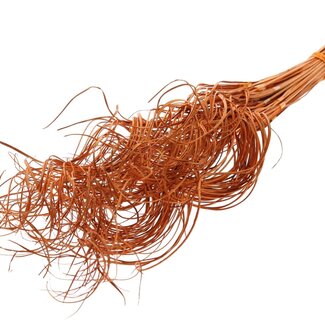 QC Dried Palm Leaf Vein | Curly Ting Ting | Colour: Orange | Length ± 70 centimetres | 3 twigs per bunch | 33 bunches per bouquet | Per bouquet
