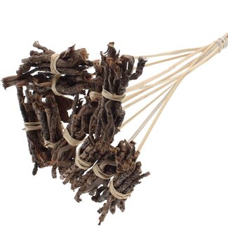 QC Decorative Coco Rose Posy on Stick | Colour: Natural Brown | Coco Rose Posy Stick | Stick Length ± 50 centimetres | 10 sticks per bunch