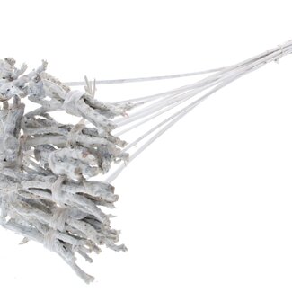 QC Decorative Coco Rose Posy on a stick | Colour: White | Coco Rose Posy Stick | Stick length ± 50 centimetres | 10 sticks per bunch