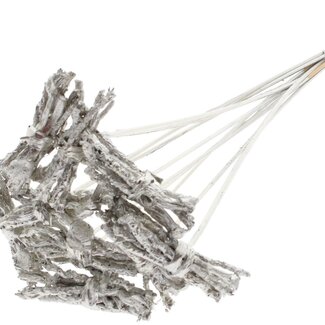 QC Decorative Coco Rose Posy on Stick | Colour: Platinum | Coco Rose Posy Pick | Pick Length ± 50 centimetres | 10 picks per bunch