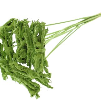QC Decorative Coco Rose Posy on stick | Colour: Light Green | Coco Rose Posy Stick | Stick length ± 50 centimetres | 10 sticks per bunch