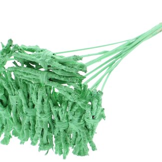 QC Decorative Coco Rose Posy on Stick | Colour: Mint Green | Coco Rose Posy Stick | Stick Length ± 50 centimetres | 10 sticks per bunch