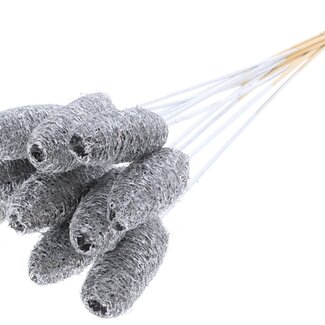 QC Mini Loofah Sponge on stick | Colour: Silver | Loofah Plant Stake | Length ± 50 centimetres | 10 stakes per bunch